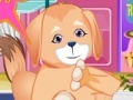 Jogo Puppy Dental Care 