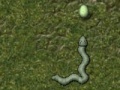 Jogo Snake's Adventure