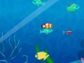 Jogo Fish Fun
