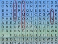Jogo Word Search