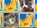 Jogo Match a Pretty Kitty