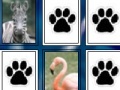 Jogo Animals Match