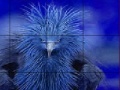 Jogo Timid blue bird slide puzzle