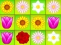 Jogo Flower Power Match
