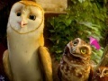 Jogo Legend of the Guardians Spot the Difference