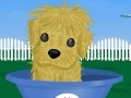 Jogo Puppy Need Owner