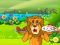 Jogo Lion hunger