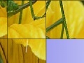 Jogo Grasshopper slide puzzle