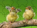 Jogo Two cute sparrow puzzle
