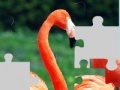 Jogo Flamingo puzzle