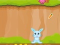 Jogo Bunny: Crazy Time