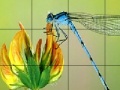 Jogo Flower and fly slide puzzle