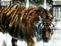 Jogo Snow and tiger slide puzzle