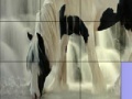 Jogo Waterfall and horse slide puzzle