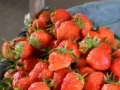 Jogo Jigsaw: Strawberry Basket