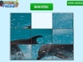 Jogo Dolphin Slider