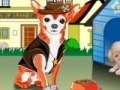 Jogo Little Chihuahua Dress Up