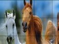 Jogo Wild horses slide puzzle