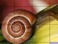 Jogo Snail and flower slide puzzle