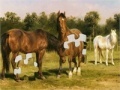 Jogo Horses Grazing Jigsaw