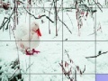 Jogo Red billed duck slide puzzle