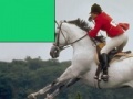 Jogo Horse Jumping Jigsaw