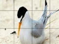 Jogo Orange beak bird slide puzzle