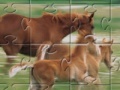 Jogo Horse Family Jigsaw Puzzle