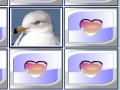 Jogo Birds Match