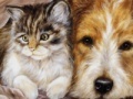 Jogo Cat & Dog