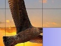 Jogo Wild eagle slide puzzle
