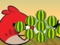 Jogo Angry Birds - cut the rope