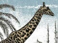 Jogo Giraffe Jigsaw Puzzle