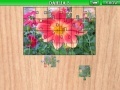 Jogo Dahlia 3