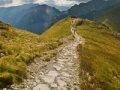 Jogo On The Trail