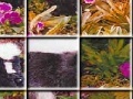 Jogo Skunks in the garden puzzle