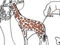 Jogo Zoo life coloring