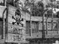 Jogo Auschwitz Birkenau