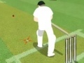 Jogo Cricket Championship
