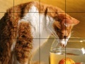Jogo Small fish and cat slide puzzle