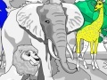 Jogo Perfect Big Cat