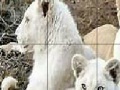 Jogo Big three cat slide puzzle