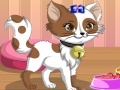 Jogo Kitty the cat dress up