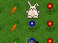 Jogo Bunny Run