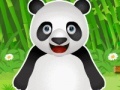 Jogo Panda Pet Care