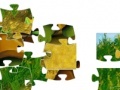 Jogo Turtle Tax Chinese