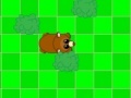 Jogo Bear IQ