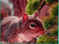 Jogo Nuts And Squirrels: Puzzle