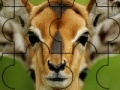Jogo Confused deer puzzle