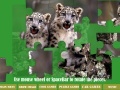 Jogo Baby Cheetahs Twins